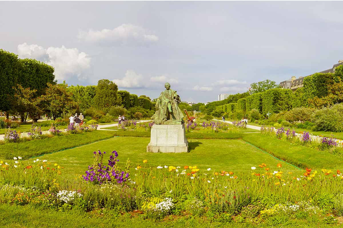 Jeu d'observation et de rapidité Les trésors du jardin Le